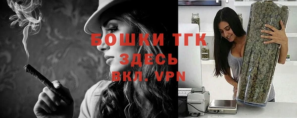 винт Абаза