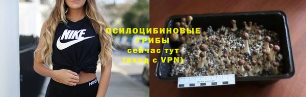 винт Абаза