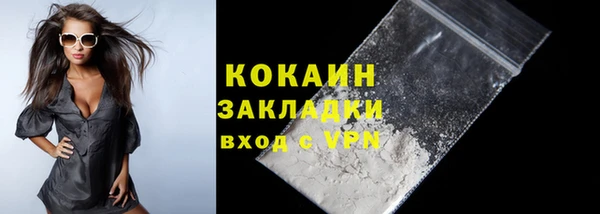 винт Абаза