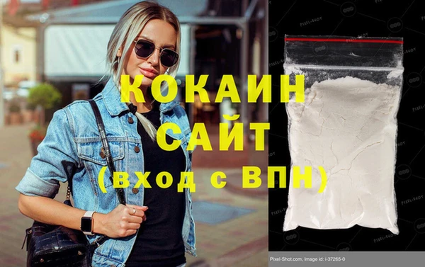 винт Абаза