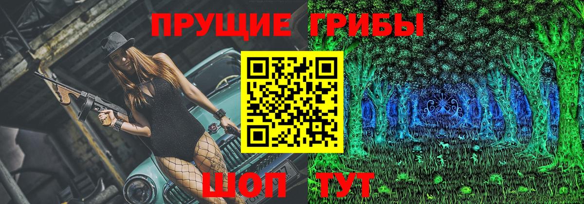 Зеленодольск  Псилоцибиновые грибы GOLDEN TEACHER  Вход с VPN 