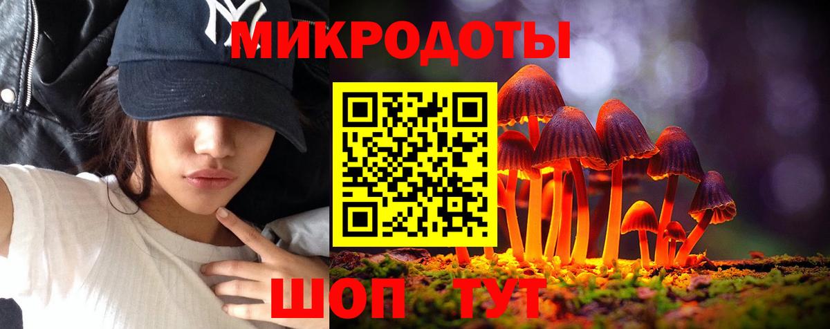 Псилоцибиновые грибы прущие грибы Зеленодольск